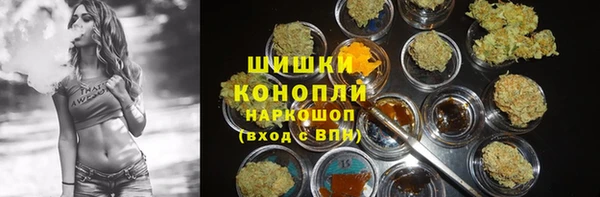 apvp Арсеньев