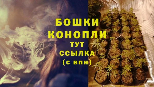 apvp Арсеньев