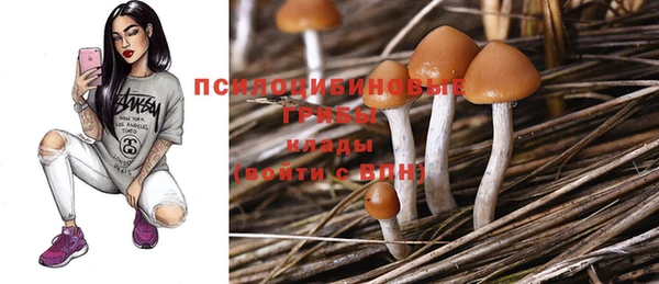 СК Аркадак
