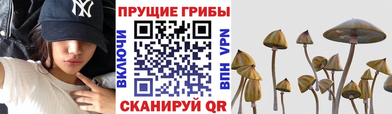 Псилоцибиновые грибы Magic Shrooms  Сарапул 
